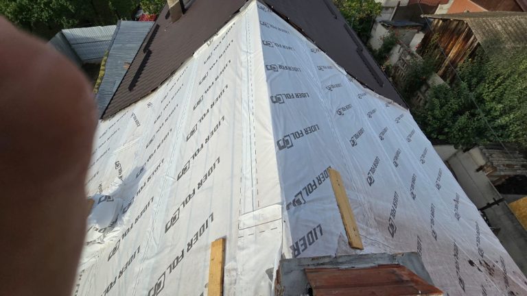 d50c1ca9-c901-46d5-bb17-56e461ffab19