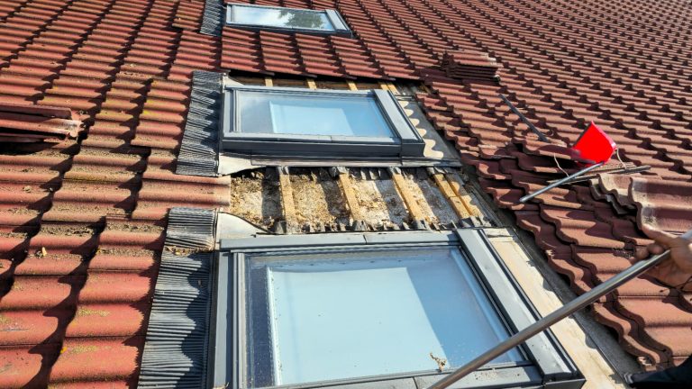 ff0f5ed5-65e5-4962-ae22-dfa0cd832ca2